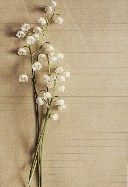 Delicate lily of the valley