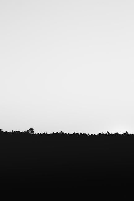 Moody dark forest silhouette