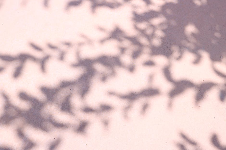 Dappled leaf shadows on wall